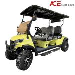 Lithium Battery Electrical Golf Cart Customized Sightseeing Tourist Car