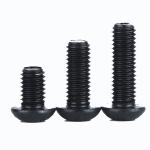 Black 304 Stainless Steel Half Round Head Hexagon Socket Bolt ISO7380 Pan Head