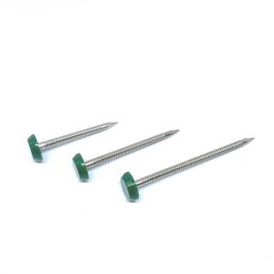 Wholesale OEM 65mm Plastic Head Nails , Outside Construction And Building Nails from china suppliers