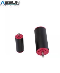 Wholesale 24mm Diameter DC Coreless Motor Brushless 24V 12320rpm ASSUN from china suppliers