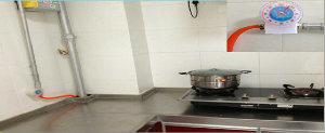 Gas Safety Valve LPG Gas Timer Valve