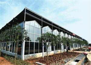Wholesale Large Size Agricultural Glass Greenhouse 3m - 6m Side Height Stable Structure from china suppliers