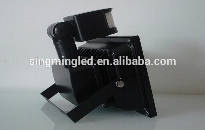 10w 30w Epistar Chip sensor led flood light IP65 outdoor led flood light CE RoSH certific