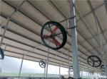 Dairy Farm 480W Ventilation Cooling Fan 920mm Industrial Ventilation Exhaust Fan