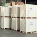 One Side Coated Freezer Paper Roll 275gsm 325gsm For Packing Food