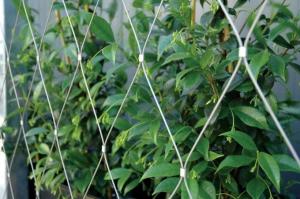 Wholesale Cable Stainless Steel Wire Rope Mesh Safety Net from china suppliers