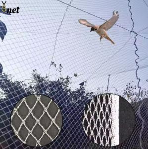 Wholesale Agricultural Bird Prevention Netting 5m - 1000m Knitted Bird Netting from china suppliers
