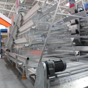 Wholesale 160 birds / set Battery Layer Poultry Farm Cage A frame from china suppliers