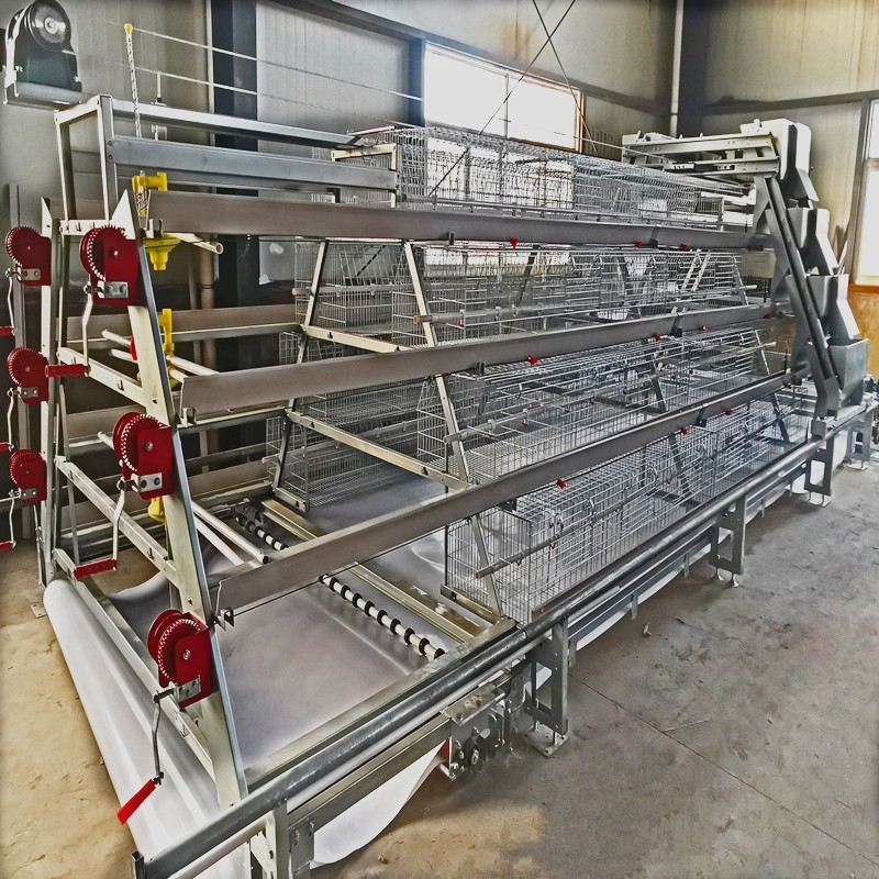 4 Tiers A Type Cage System For Broiler Battery Chicken Q235A