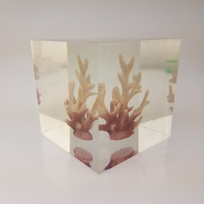Transparent resin cube brick paperweight with Coral inside