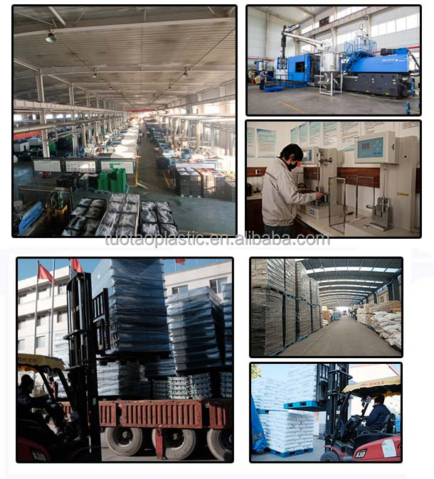 Customized Logo Heavy Duty 4-Way Entry Type Steel Euro Pallet Rack for Warehouse Storage