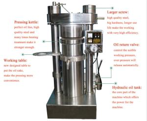 Wholesale Large Capacity Sunflower Oil Processing Machine , Small Oil Press Machine from china suppliers