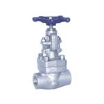 API 602 BS5352 ASME B16.34 Metal Seated Forged Gate Valve