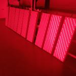 1500W Power Red Light Therapy Machines 660/850 Professional NIR Light Panel