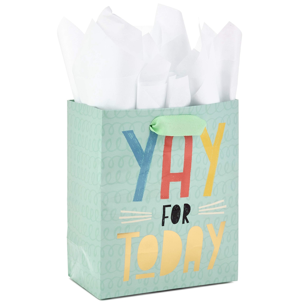 Handmade Customizable Plain Kraft Paper Bags With Logo for Eco-Friendly Packaging