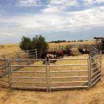 12foot Galvanized Welded Yard Fence Panel Livestock Horse Farm Fencing