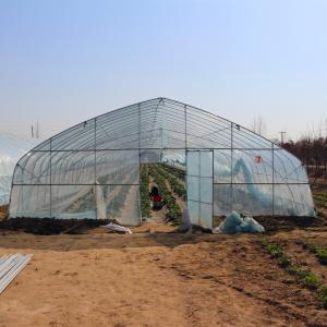 Wholesale Agriculture Farming Growing Tunnel Plastic Film Greenhouse For Pepper Growing from china suppliers
