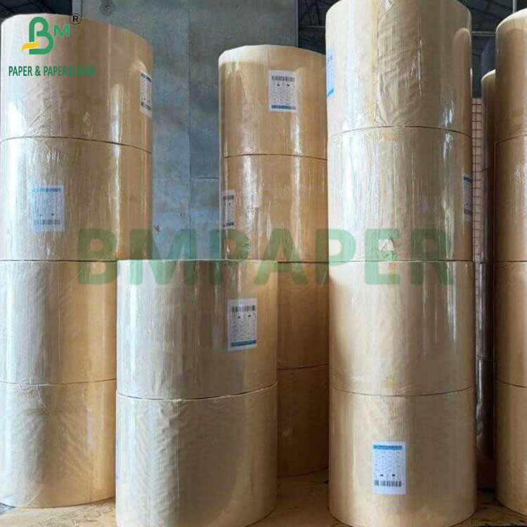 Single Layer Mango Fruit Growing Cover Paper for Protection Bags (2)