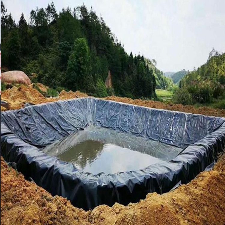 Commercial Textured Geomembranes 1mm 2mm Thickness Ideal for Slope Protection Projects