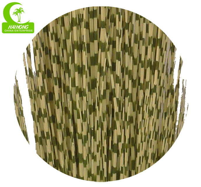 zebra onion grass