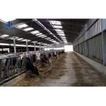 ASTM Standard Bending Welding Metal Livestock Shelters Steel Frame Horse Shelter
