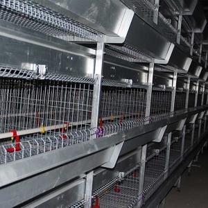 Wholesale Large Farm Powerful Baby Chick Cage Silver White Color 1.5 Years Warranty from china suppliers