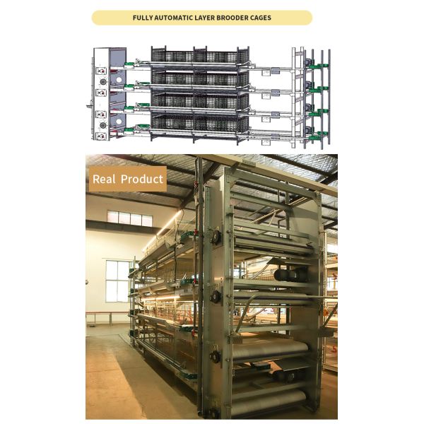 High Quality H Type Automatic Battery Chicken Cage for Broiler Farming