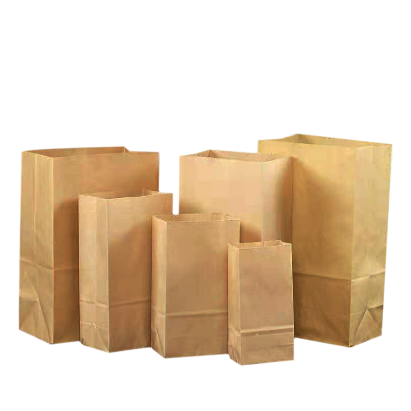Flower Store Bulk Paper Sacks Brown Kraft Paper Bags With Ribbon Handle