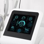 Best Non Invasive 4 Heads Body Slimming Weight Loss 2500W Keyword Cryolipolysis