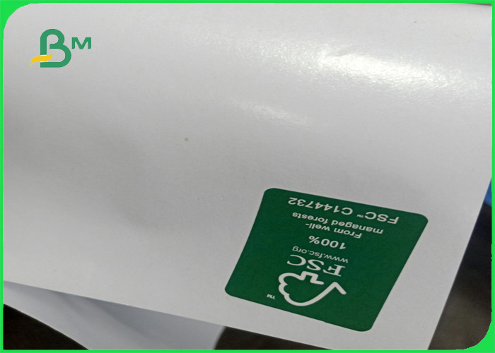 125gsm FBB board with 15gsm food grade PE film paper sheet for Packing box