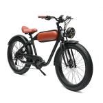 48V750W Bafang Motor Electric Bike DOMANCA Customized Fat Tire Electric