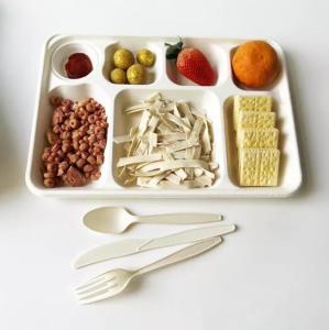 Wholesale White Disposable Divided Plates Rectangle , Waterproof Rectangle Divided Paper Plates from china suppliers