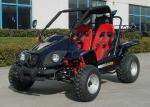 Water Cooling 250cc Cool Go Karts , 2 Seater Go Kart With CVT Clutch