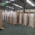 65gsm BPA Free Thermal Paper Roll For Cash Register Clear Image 600mm X 9000m