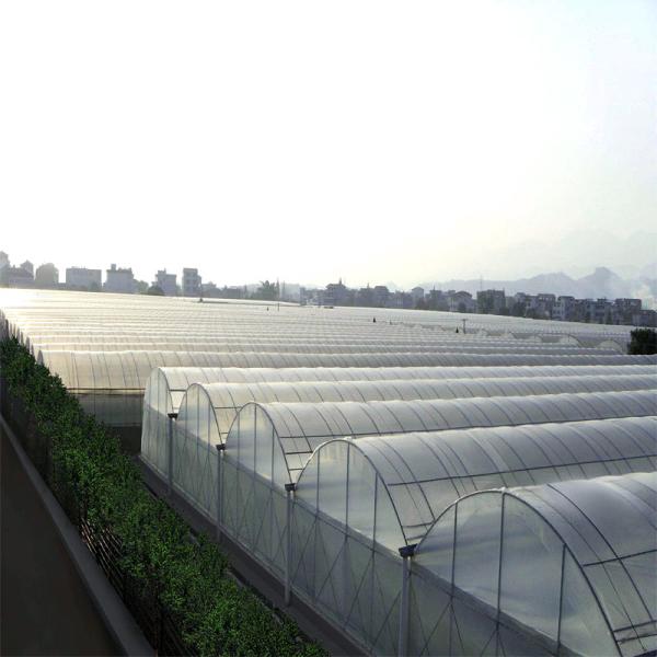 Climate Adjustable Plastic Film Greenhouse Heat Resisting Anti Freezing Moisture