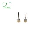 White Bristle Brush Dental Polishing Kit Teeth Polishing Brush