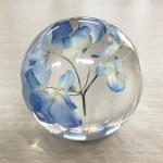 Dried Flower Paperweight Ball 80mm Nature Style Logo Customized