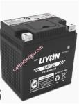 Liyon 6MF32L 12V 32Ah Atv Battery AGM Gel Battery New Original