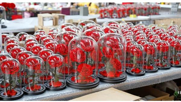 rose gift Factory Wholesale Eternal Beautiful Forever Little Prince Roses