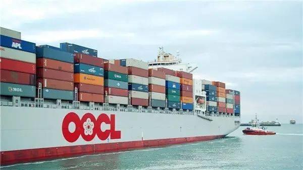 International Walmart Shipping From Shanghai Ningbo Xiamen Foshan Lingyi Qingdao