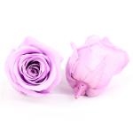 A Grade 5-6cm Preserved Flower Heads For Floral Design