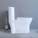 Siphonic Round American Standard One Piece Dual Flush Toilet Elongated Bowl