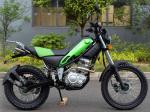 Automatic Dirt Bike 250cc Re250 Engine Double Pipe Muffler 12kw/8000rpm