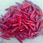 Asian Spicy Tianjin Dried Chili Peppers 100g Small High In Vitamin C