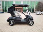 Customized Electric Golf Cart 2 Seater Battery Powered Good Design Lightweight