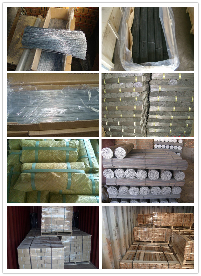 competitive price stainless steel cut wire, steel wire rod, GI wire