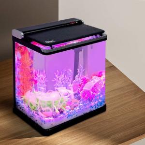 Wholesale Smart 4 Gallon Desktop Betta Office Fish Tank from china suppliers