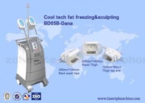 Wholesale 3 Size handles cryolipolysis cool slim body sculpting equipment / criolipolisys machine from china suppliers