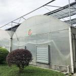 Industrial Plastic PE Film Multi-span Agricultural Flower House Poly Tunnel