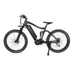Hydraulic Disc Brake and Kenda Tire 26 inch Alloy Frame Electric Mountain Bike